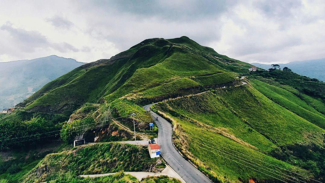 green fields with road